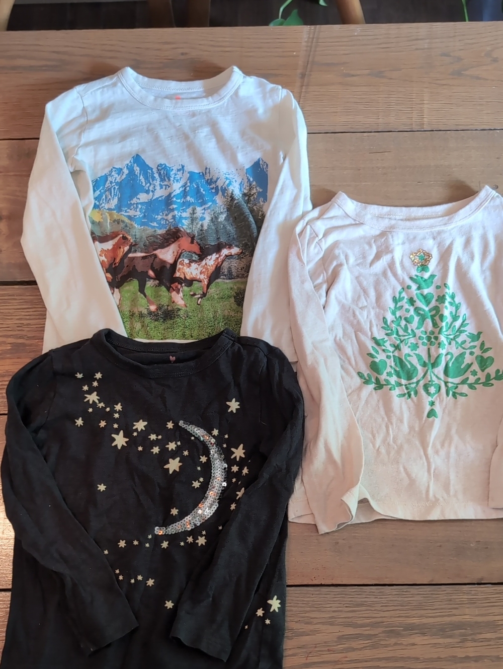 JCrew Girls Long Sleeve Shirts